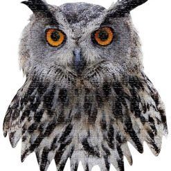 Puzzle konturowe I AM - Sowa 550 el.