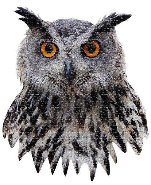 Puzzle konturowe I AM - Sowa 550 el. Puzzle konturowe I AM - Sowa 550 el.