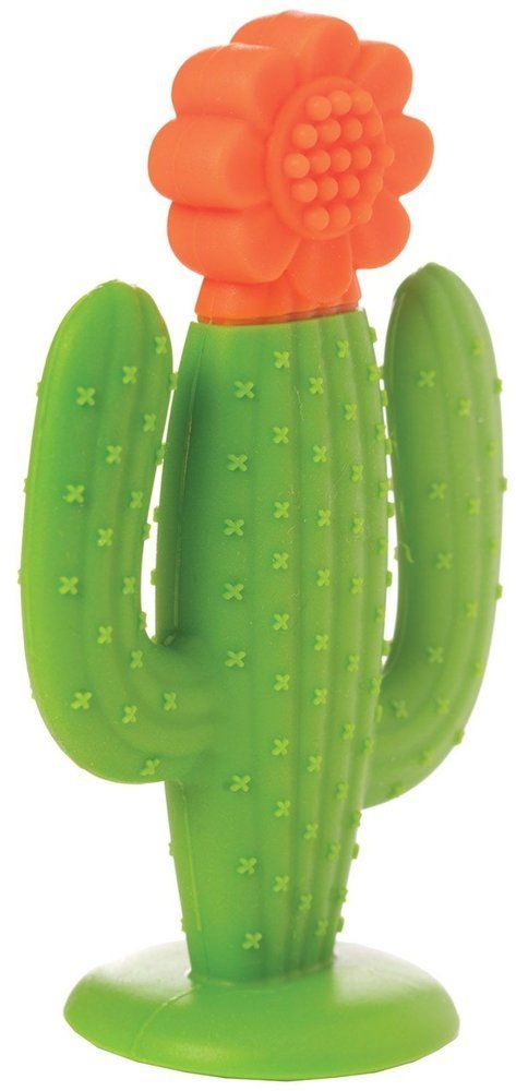 Gryzak silikonowy Kaktus